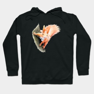 Red Squirrel Coloured pencil Drawing Hoodie